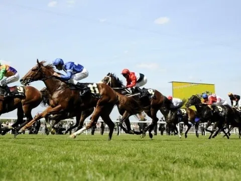 Một công ty chứng khoán ngoại gia nhập "cuộc đua" tăng vốn trước thềm nâng hạng