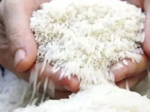 Giá gạo xuất khẩu của Thái Lan giảm xuống mức thấp nhất trong gần 9 năm