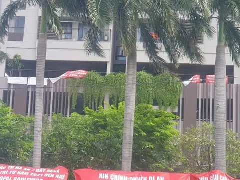 Tranh chấp chung cư không thể giải quyết bằng các quy định 'chắp vá'