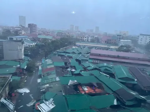 11 người chết, 13 người mất tích, 8 người mất liên lạc và 33 người bị thương do bão Bualoi, Thủ tướng chỉ đạo khẩn