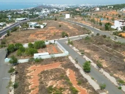 Người dân cầu cứu lãnh đạo tỉnh Lâm Đồng liên quan dự án Tân Việt Phát 2