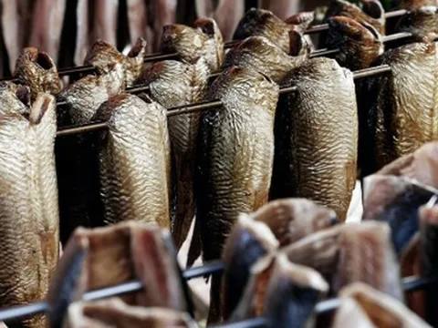 Một mỏ vàng dưới nước vừa giúp Việt Nam bỏ túi hơn 1.300 tỷ đồng: Xuất khẩu tăng cao nhất 5 năm, là mặt hàng được ưa chuộng nhất tại Mỹ