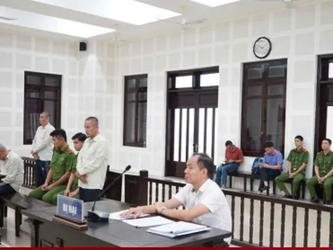 Thuê giang hồ chém cổ đông, chủ tịch công ty lĩnh án