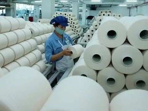 Sợi Thế Kỷ chốt ngày phát hành hơn 43 triệu cổ phiếu trả cổ tức