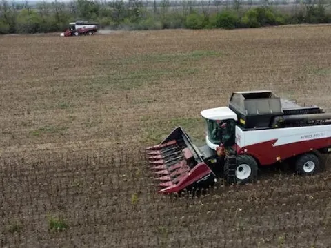 Bị Mỹ làm khó với dầu thô, Nga ngỏ ý xuất khẩu sang Ấn Độ một mặt hàng chiến lược khác: Moscow sản xuất dẫn đầu thế giới, sắp đón vụ thu hoạch bội thu kỷ lục