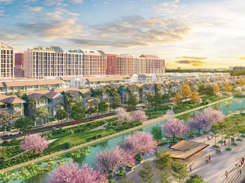 Phân khu Flora Avenue tại đô thị Sun Group Nam Hà Nội có gì đặc biệt?