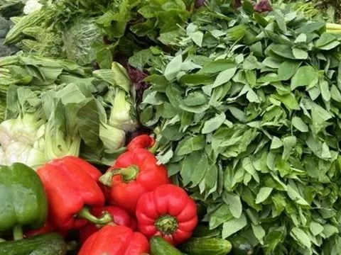 Giá rau xanh ở Hà Nội ‘nhảy múa’, đắt gấp đôi sau bão Bualoi