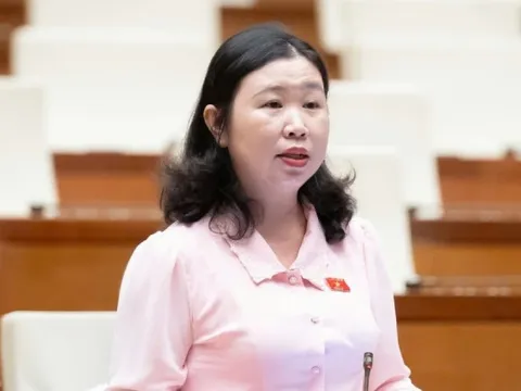 Vụ Vạn Thịnh Phát khối lượng công việc cực kỳ lớn, giám định tối đa 3 tháng là 'bất khả thi'