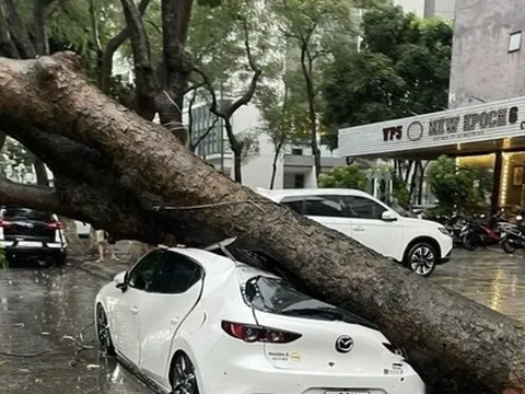 Một doanh nghiệp bảo hiểm ghi nhận 226 vụ tổn thất do bão số 10, bồi thường cao nhất 700 triệu đồng/trường hợp