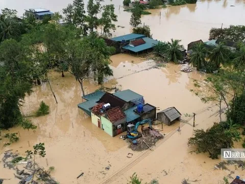Yêu cầu tạm ứng, chi trả nhanh chóng tiền bồi thường bảo hiểm thiệt hại do bão số 10