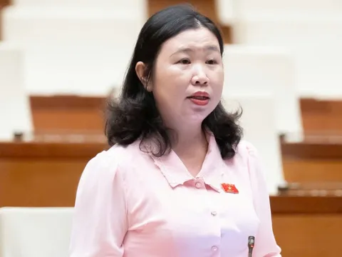 Vụ Vạn Thịnh Phát khối lượng công việc lớn, giám định 3 tháng là 'bất khả thi'