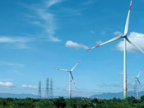 Đẩy nhanh tiến độ triển khai dự án 3.500 tỷ đồng tại Quảng Ngãi