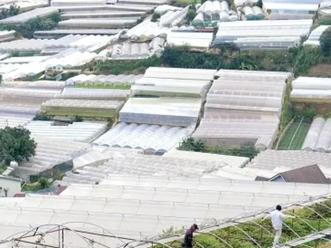 Đà Lạt trong vòng xoáy bê tông, nhà kính: Tỉnh cam kết siết quản lý xây dựng