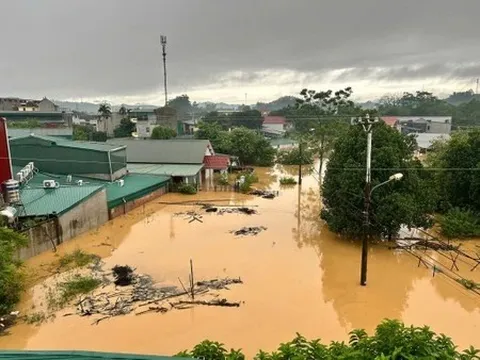 Khẩn trương báo cáo, bồi thường bảo hiểm thiệt hại bão số 10