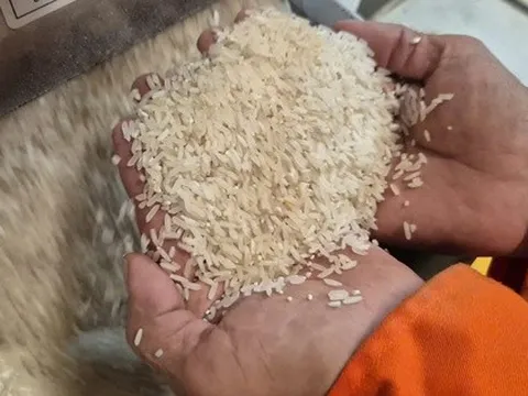 Việt Nam nhập gạo nhiều thứ 2 thế giới