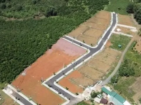 Công an TP HCM khởi tố vụ án lừa đảo tại Sam Group