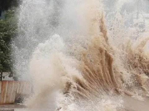 Bão Matmo tối nay vào Biển Đông