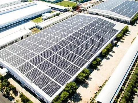 Bamboo Capital và Tracodi xin lỗi cổ đông khi cổ phiếu bị đình chỉ