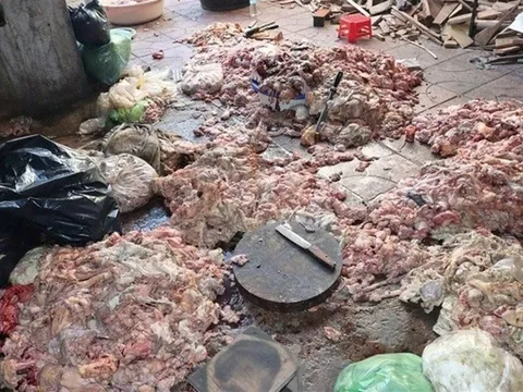 Hãi hùng cảnh mỡ động vật bẩn chất đống dưới nền nhà nhếch nhác, chuẩn bị chế biến tuồn ra thị trường ở Nghệ An