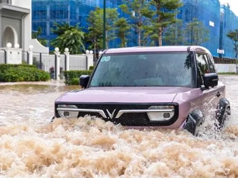 Sở Xây dựng Hà Nội 'đặc biệt rút kinh nghiệm' sau bão Bualoi, chuẩn bị ứng phó bão số 11