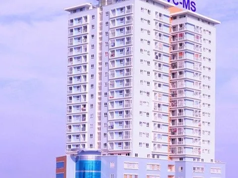PVC - MS nợ bảo hiểm, bị kiểm toán nghi ngờ về khả năng hoạt động liên tục