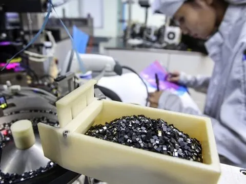 Việt Nam có "kho báu" làm nên chuyện trong lĩnh vực 1.000 tỷ USD, Nhật Bản rất muốn hợp tác