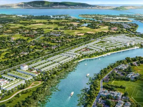 Doanh thu tăng đột biến 19.041%, doanh nghiệp này làm gì mà "tiền vào như nước"?