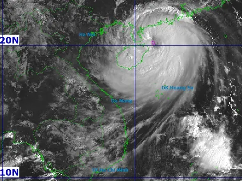 Bão số 11 tăng cấp, "đi như lướt" trên biển: Khi nào sẽ đổ bộ, ảnh hưởng những vùng nào của Việt Nam?