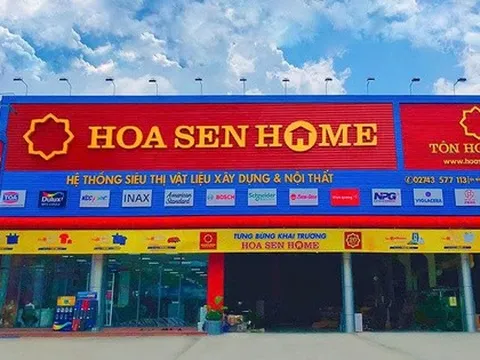 Hoa Sen Group giải thể một công ty liên kết do hoạt động không hiệu quả