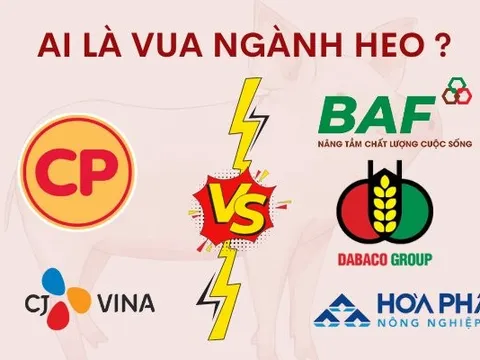Đại chiến ngành heo tỷ đô: CP, CJ đối đầu với tham vọng lớn chưa từng có của Hòa Phát, Dabaco, BAF