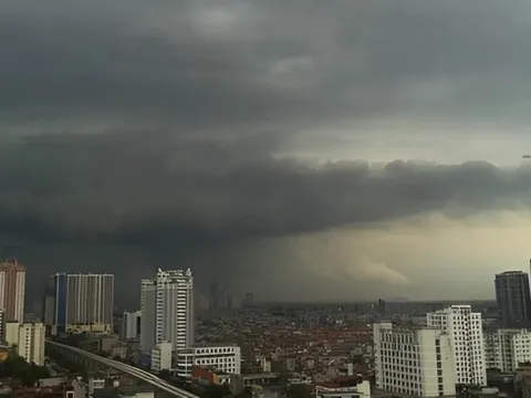 Cảnh báo khẩn mưa lớn ở các tỉnh Bắc Bộ và Thanh Hóa do ảnh hưởng của bão số 11