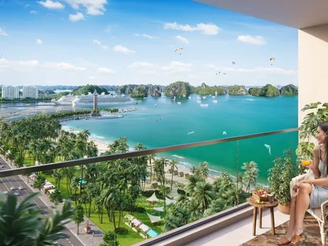 Hưởng lợi kép khi đầu tư căn hộ Sun Group trung tâm Bãi Cháy