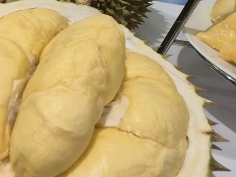 Giá sầu riêng hôm nay 6-10: Tăng mạnh trên diện rộng, cung không đủ cầu