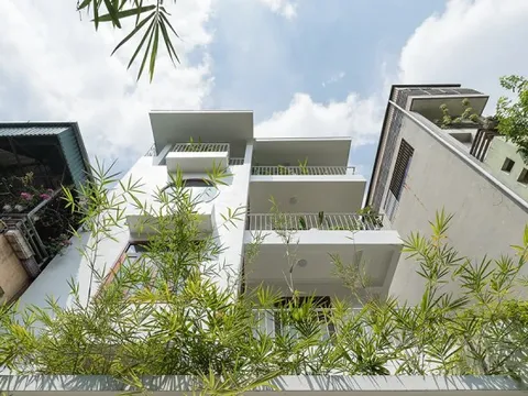 Cải tạo nhà ống chật chội thành không gian sống xanh mát