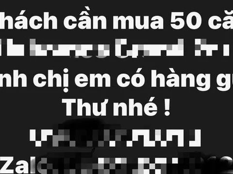 Thực hư thông tin "sốt căn hộ" ở Thủ Đức cũ