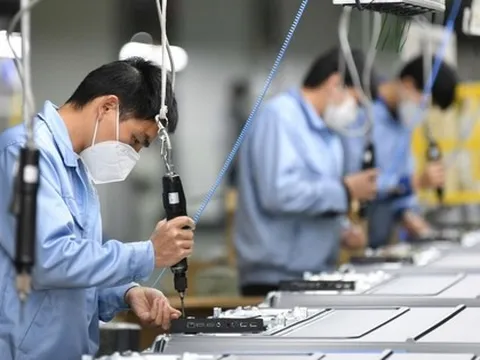 86.400 doanh nghiệp quay trở lại hoạt động trong 9 tháng năm 2025