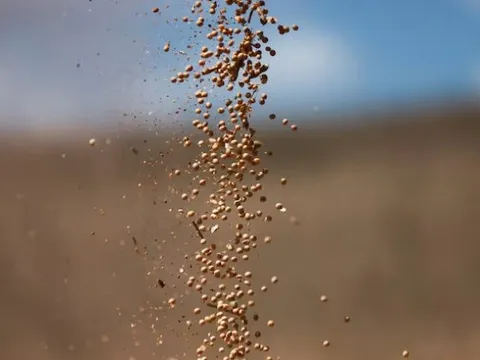 Trung Quốc quay lưng với nông sản Mỹ, một quốc gia bất ngờ trúng lớn: Xuất khẩu đậu tương bằng cả năm cộng lại - Ngô, thịt bò đều bội thu đơn hàng