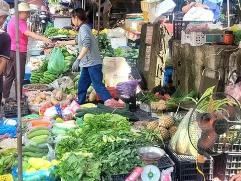 Bà nội trợ giật mình với giá rau xanh tăng gấp 3 lần, rau muống, rau cải tới 25.000 đồng/mớ