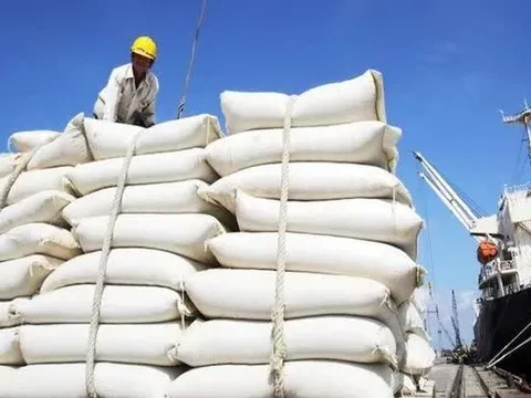 Thị trường gạo châu Á thấp nhất trong nhiều năm