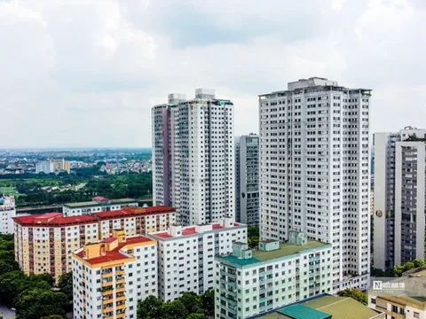 Người độc thân thu nhập không quá 20 triệu đồng/tháng được mua NOXH