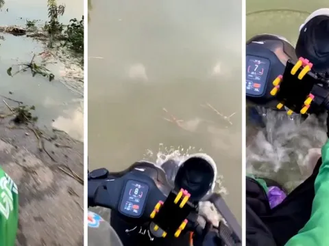 Tứ bề là nước, tài xế vẫn vô tư chở khách "qua sông": Là xe điện đi xa nhất Việt Nam, sản xuất ở TP.HCM