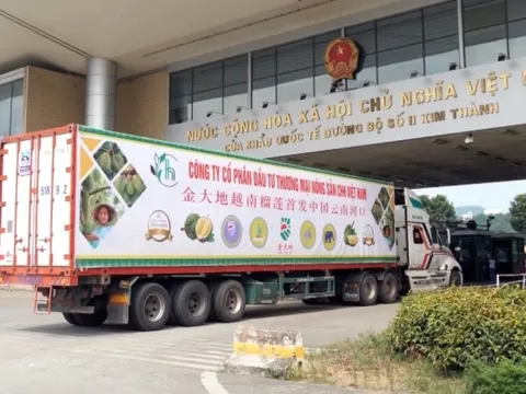 Xuất khẩu Việt Nam lập kỷ lục nhờ một loại quả, Thái Lan tính 'bắt tay': Giấc mơ 10 tỷ USD không còn xa