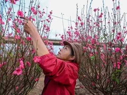 Thủ tướng đồng ý phương án nghỉ Tết Bính Ngọ 9 ngày liên tục