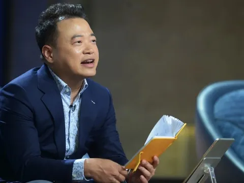 Shark Bình, Nguyễn Hòa Bình bị bắt vì tội gì?