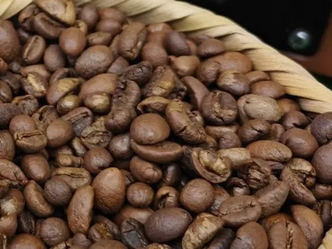 Giá cà phê hôm nay 15-10: Arabica tăng dữ dội