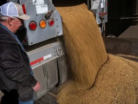 Ăn miếng trả miếng, Mỹ lại đe dọa ngừng nhập khẩu dầu ăn từ Trung Quốc, căng thẳng thương mại có nguy cơ bùng phát trở lại