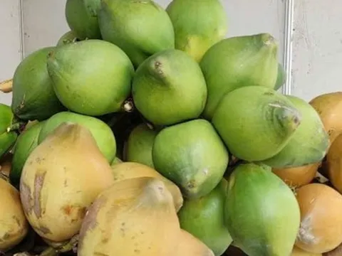 Điều gì khiến giá dừa tươi đột ngột giảm sâu?