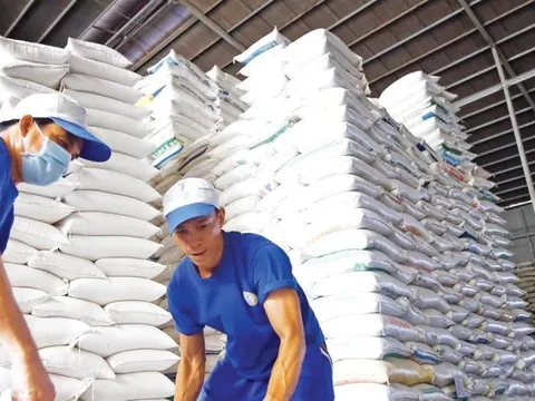 Gạo Việt đi đâu về đâu khi Philippines, Indonesia siết nhập khẩu?