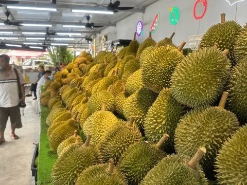 Một đối thủ sầu riêng của Thái Lan, Việt Nam rục rịch gia nhập thị trường Trung Quốc, chuyên gia khẳng định: Cần ít nhất 2 năm nữa để làm điều này