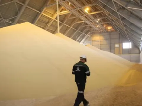 Campuchia vừa mua hơn 500.000 tấn hàng quan trọng từ Việt Nam: Được mệnh danh ‘cứu tinh’ của nông sản láng giềng, nước ta bỏ túi hơn 700 triệu USD